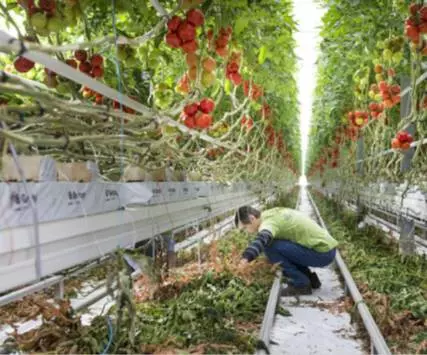 Preserving resources